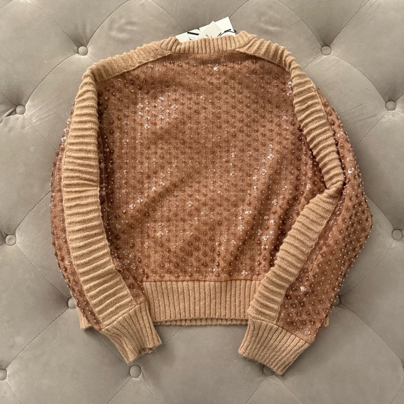 NWT Zara Sequin Mesh Panel Sweater - Picture 2 of 2